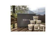 waccaジェラート詰め合わせ6個[297]