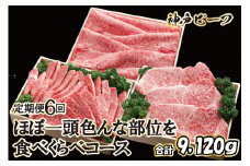 神戸牛 ほぼ一頭色んな部位を食べくらべコース（定期便６回）[620]