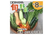 農場なつめやし　旬の野菜セット（栽培期間中、農薬・化学肥料不使用）[814]