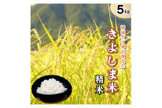 きよしま米【精米】５kg[824]