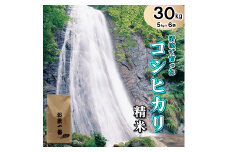 多可町加美区の清流で育ったコシヒカリ【精米】５kg×６袋[827]