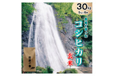 多可町加美区の清流で育ったコシヒカリ【玄米】５kg×６袋[831]