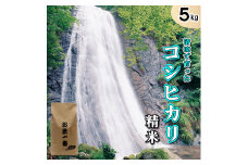 多可町加美区の清流で育ったコシヒカリ【精米】５kg[830] 