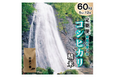 【定期便】多可町加美区の清流で育ったコシヒカリ【精米】５kg×12か月[833]