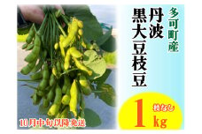 旬の味！丹波黒枝豆（枝なし）１kg[912] 