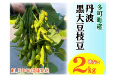 旬の味！丹波黒枝豆（枝なし）2kg [913]
