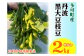 【旬の味】丹波黒枝豆（枝なし）2kg [913]