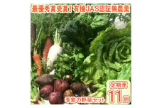 【最優秀賞受賞！甘味＆栄養】有機JAS認証の無農薬、チヨちゃんの野菜11ヶ月定期[961]