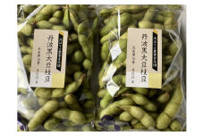 【季節限定】丹波黒大豆枝豆 朝収穫 毛取り洗浄済 さやのみ 800g  化粧箱入り [948] 発送は2024年10月15日以降