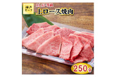 TK040神戸牛上ロース焼肉250g [1072]