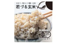 【若づる米】オーガニック 有機米 きぬむすめ 玄米 3kg[1175]