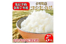 【先行受付】令和７年産 お米 5kg コシヒカリ 精米 兵庫県多可町産 [1198]