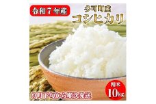 新米予約 令和７年産 お米 10kg 5kg×2 コシヒカリ 精米 兵庫県多可町産 [1220]