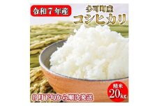 新米予約 令和７年産 お米 20kg 5kg×4 コシヒカリ 精米 兵庫県多可町産 [1221]