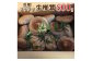 672 肉厚プリプリ生椎茸 800g！