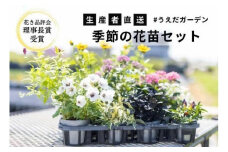 【生産者直送】季節の花苗セット