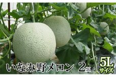 いなみ野メロン2玉　5Lサイズ