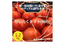 ぜいたく トマト (極み) 1.2kg 第一回全国トマト選手権（ミディアム部門）金賞