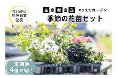 花 定期便 4ヶ月季節の花苗 セット 花き品評会理事長賞受賞 花苗 生産者直送 庭季節の花苗セット ガーデニング 花壇 苗 苗木 花の苗 花の苗物 定期 お楽しみ 4回 お届け