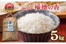 コシヒカリ 『稲穂の香』 5kg 令和6年産 米 兵庫県 稲美町産