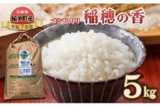 【令和7年産 新米】米 コシヒカリ 稲穂の香 5kg 精米 白米 お米 こめ コメ 最高級米 ご飯 ごはん こしひかり 兵庫県産 兵庫 兵庫県 稲美町