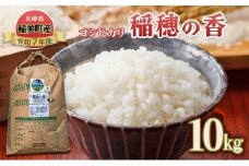 【令和7年産 新米】米 コシヒカリ 稲穂の香 10kg 精米 白米 お米 こめ コメ 最高級米 ご飯 ごはん こしひかり 兵庫県産 兵庫 兵庫県 稲美町