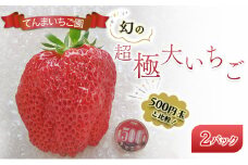 【予約受付】てんまいちご園　幻の超極大いちご 2パック入りボックス　いちご イチゴ 大粒 極大 超極大 兵庫県 稲美町 果物類 苺