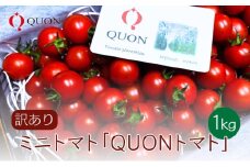 訳あり ミニトマト 「 QUONトマト 」 サイズ混合 1kg 化粧箱入[ QUON 甘い トマト 志づ華乃 高糖度 ご家庭用 ]