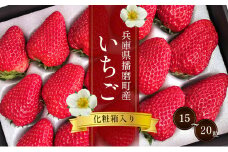 [№5359-0001]兵庫県播磨町産いちご（化粧箱入）（15～20粒）