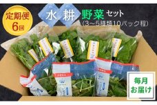 [№5359-0018]【定期便6回】毎月お届け 水耕野菜セット（3～5種類10パック程）