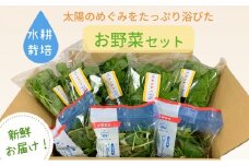 [№5359-0019]水耕野菜セット（3～5種類10パック程）