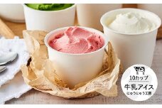 【旬のフレーバーをお届け】アイスクリーム詰め合わせ（10個）012AE01N.／アイス スイーツ デザート 牛乳アイス ミルク にゅうにゅう工房 冷凍 セット 冷菓 