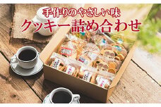 【手作り】やさしい味のクッキー詰め合わせ 010AD02N.／お菓子 クッキー 缶 焼き菓子 ギフト チョコ クッキー缶 セット チョコチップ 甘酒 生姜 型抜き 平飼いたまご スイーツ 小分け プレゼント 贈り物 贈答 詰合せ コーヒー 紅茶 お茶 おやつ おかし 甘味