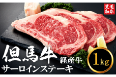 但馬牛経産牛「サーロインステーキ」200ｇ×5枚　032AA01N.／黒毛和牛 ステーキ肉 いちかわ精肉店 経産牛 牛肉 肉 お肉 国産 bbq バーベキュー 焼肉 ステーキ サーロイン 赤身 肉 冷凍 焼き肉用