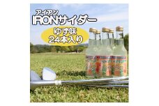 アイアンサイダー（24本）015KK01N.