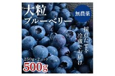 完熟ブルーベリー詰め合わせ（250g×2）011SW01N./フルーツ 新鮮 国産  農薬不使用 無農薬 果物 農作物 フルーツ お取り寄せ グルメ 果物 くだもの 数量限定 期間限定 摘みたて 
