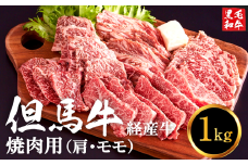 但馬牛経産牛「焼肉用」（肩・モモ）1kg(500g×2) 020AA11N.／焼肉セット 黒毛和牛 いちかわ精肉店 経産牛 牛肉 肉 お肉 国産 bbq バーベキュー 焼き肉セット アウトドア キャンプ 冷凍 焼き肉用