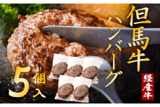 但馬牛経産牛ハンバーグ（150g×5個）010AA09N.／個包装 牛肉 黒毛和牛 100% 国産 経産牛 和牛 赤身 味付け ほくぶ バーベキュー bbq キャンプ アウトドア 焼肉 小分け 簡単調理 セット 詰め合わせ 詰合せ 冷凍 お弁当 おかず