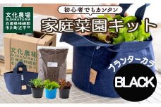 はじめての家庭菜園キット「サラダガーデン」（プランター色：ブラック）011BK01N.／レタス 苗 サラダ野菜 苗 プランター ガーデニング 野菜 栽培 ベランダ菜園 野菜苗 培土 園芸