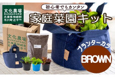 はじめての家庭菜園キット「サラダガーデン」（プランター色：ブラウン）011BK02N.／レタス 苗 サラダ野菜 苗 プランター ガーデニング 野菜 栽培 ベランダ菜園 野菜苗 培土 園芸