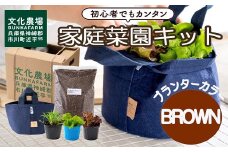 はじめての家庭菜園キット「サラダガーデン」（プランター色：ブラウン）011BK02N.／レタス 苗 サラダ野菜 苗 プランター ガーデニング 野菜 栽培 ベランダ菜園 野菜苗 培土 園芸