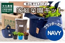 はじめての家庭菜園キット「サラダガーデン」（プランター色：ネイビー）011BK03N.／ レタス 苗 サラダ野菜 苗 プランター ガーデニング 野菜 栽培 ベランダ菜園 野菜苗 培土 園芸
