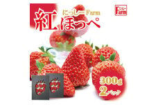 美味しいいちご「にっしーFarmの紅ほっぺ」300g×2パック　011NF01N.