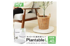 tidy ティディ Plantable L（キャスター付植木鉢トレイ）【ホワイト】015EB11N.／Lサイズ 台 観葉植物 トレイ プランター 受け皿 受皿 鉢皿 らくらく移動 可動式 軽量 ガーデニング リビング オフィス 玄関 掃除用品 掃除 お掃除 日用品 インテリア 雑貨 おしゃれ