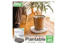 tidy ティディ Plantable（キャスター付植木鉢トレイ）【ブラウン】012EB04N.／台 観葉植物 トレイ プランター 受け皿 受皿 鉢皿 らくらく移動 可動式 軽量 ガーデニング リビング オフィス 玄関 掃除用品 掃除 お掃除 日用品 インテリア 雑貨 おしゃれ