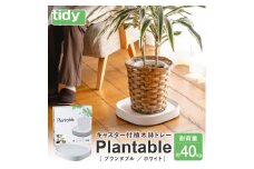 tidy ティディ Plantable（キャスター付植木鉢トレイ）【ホワイト】012EB04N.／台 観葉植物 トレイ プランター 受け皿 受皿 鉢皿 らくらく移動 可動式 軽量 ガーデニング リビング オフィス 玄関 掃除用品 掃除 お掃除 日用品 インテリア 雑貨 おしゃれ