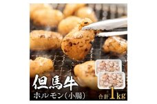 但馬牛経産牛「ホルモン」500ｇ×2パック  012AA04N.／牛肉 肉 お肉 国産 bbq バーベキュー 焼肉 アウトドア キャンプ