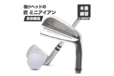 【練習にも本番にも】匠ミニアイアン「極小ミニヘッド」　035BF01N./ 練習 本番 テクニック向上 ミート率up 極小ヘッド ヘッド小さめ ミニアイアン 東邦ゴルフ 