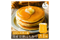 【2025年採蜜予約受付 2025年8月から順次発送】 完熟はちみつ　120g （藤岡養蜂園）004FY01N. ／ 完熟 熟成 天然 ハチミツ 養蜂 蜂蜜 ミツバチ しりばり 瓶 チューブ 選べる
