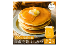 【2025年採蜜予約受付 2025年8月から順次発送】 完熟はちみつ　240g（120g×2） 藤岡養蜂園　007FY01N. ／ 完熟 熟成 天然 ハチミツ 養蜂 蜂蜜 ミツバチ しりばり 瓶 チューブ 選べる